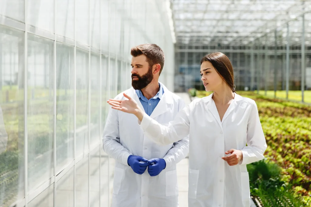 researchers